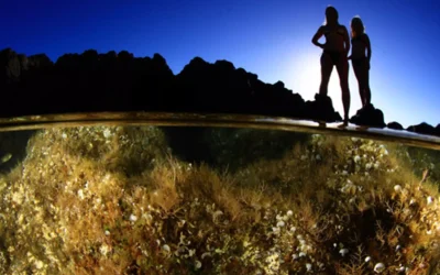 Arturo Telle gana el 17 Open Fotosub Isla de El Hierro