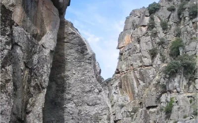 Beneficios de las áreas protegidas españolas.