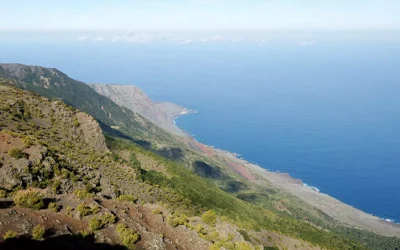 El Hierro fabricará biodiesel a partir de aceites vegetales usados
