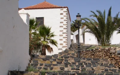 El primer guirre nacido en cautividad, Tamarán, ya surca los cielos de Fuerteventura