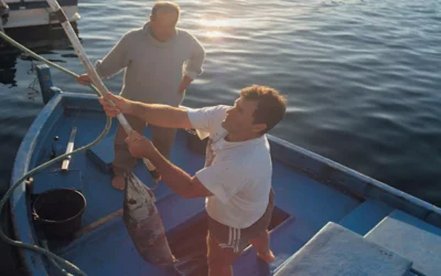 WWF se interesa por la pesca sostenible de El Hierro