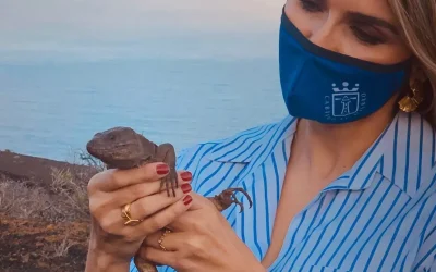 Suelta de 50 ejemplares de Lagarto Gigante de El Hierro en Punta Agache