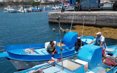La Reserva de la Biosfera de El Hierro participa en una jornada de Turismo Marinero en Tierra junto al CPT Buenamar Canarias