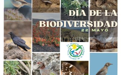 Celebramos el Día Internacional de la Biodiversidad destacando su riqueza única de especies