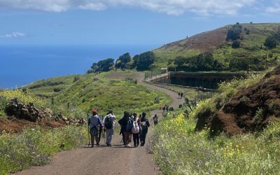 Educación ambiental y bilingüismo en acción: el IES Garoé recorre la Ruta del Agua en inglés