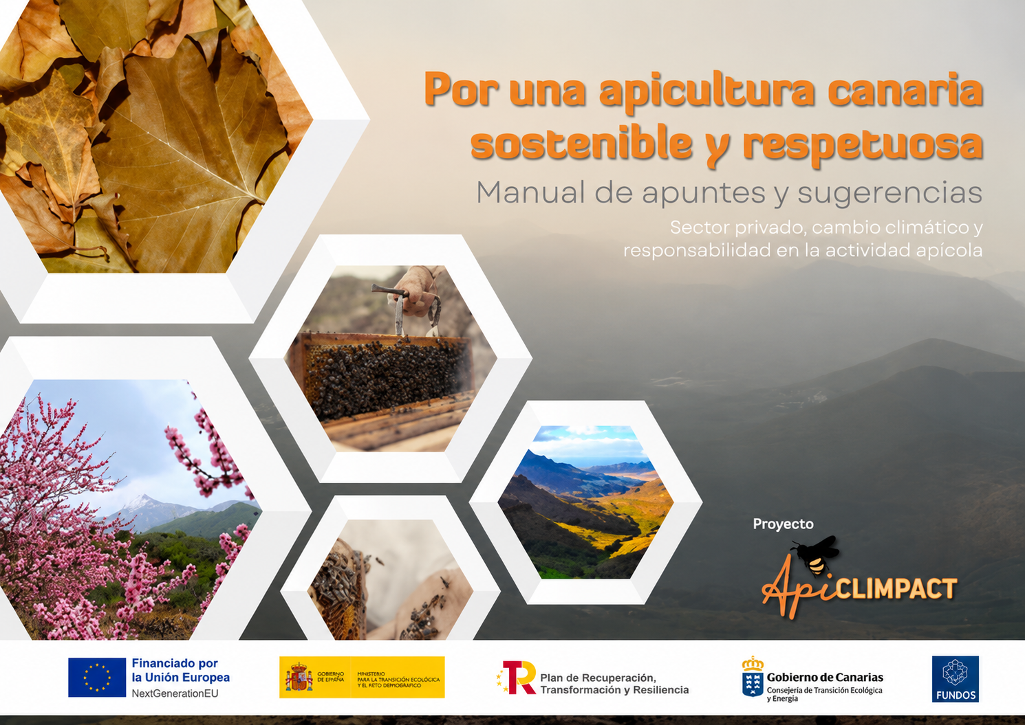 APICLIMPACT-avanzando-hacia-una-apicultura-sostenible-y-resilient-frente-al-cambio-climático-1