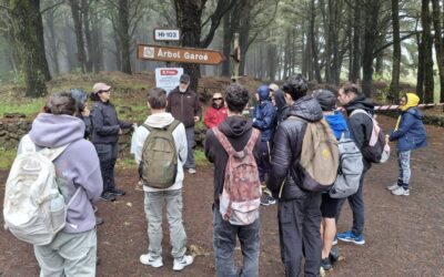El agua como hilo conductor del territorio y la historia de El Hierro