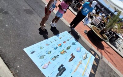 Educación ambiental a través del juego en la Feria de la Vieja
