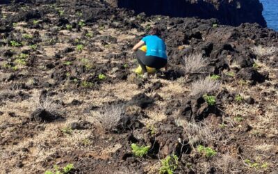 Jornada de limpieza y conservación en el sendero de Las Puntas – La Maceta