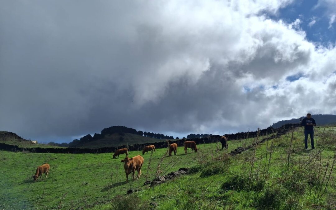 El Hierro refuerza la cooperación entre Reservas de la Biosfera a través de un programa de intercambio