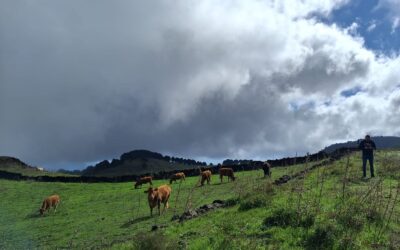 El Hierro refuerza la cooperación entre Reservas de la Biosfera a través de un programa de intercambio