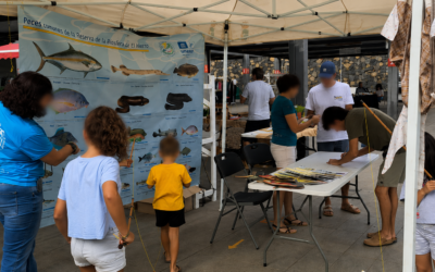 Pesca artesanal y conservación en El Hierro